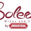 SOLERA LOGO-white background 600